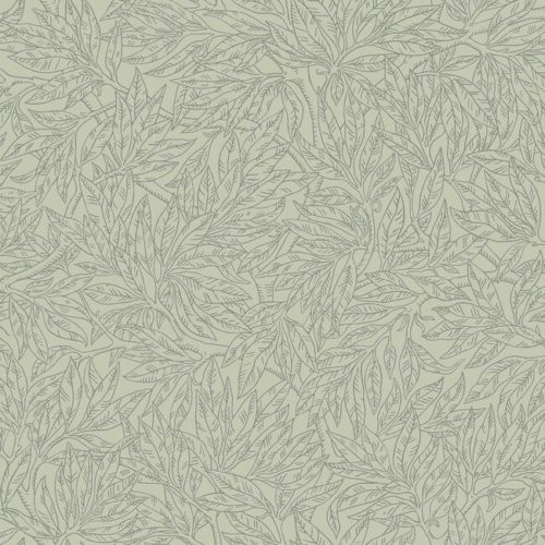Salix Alba 7787